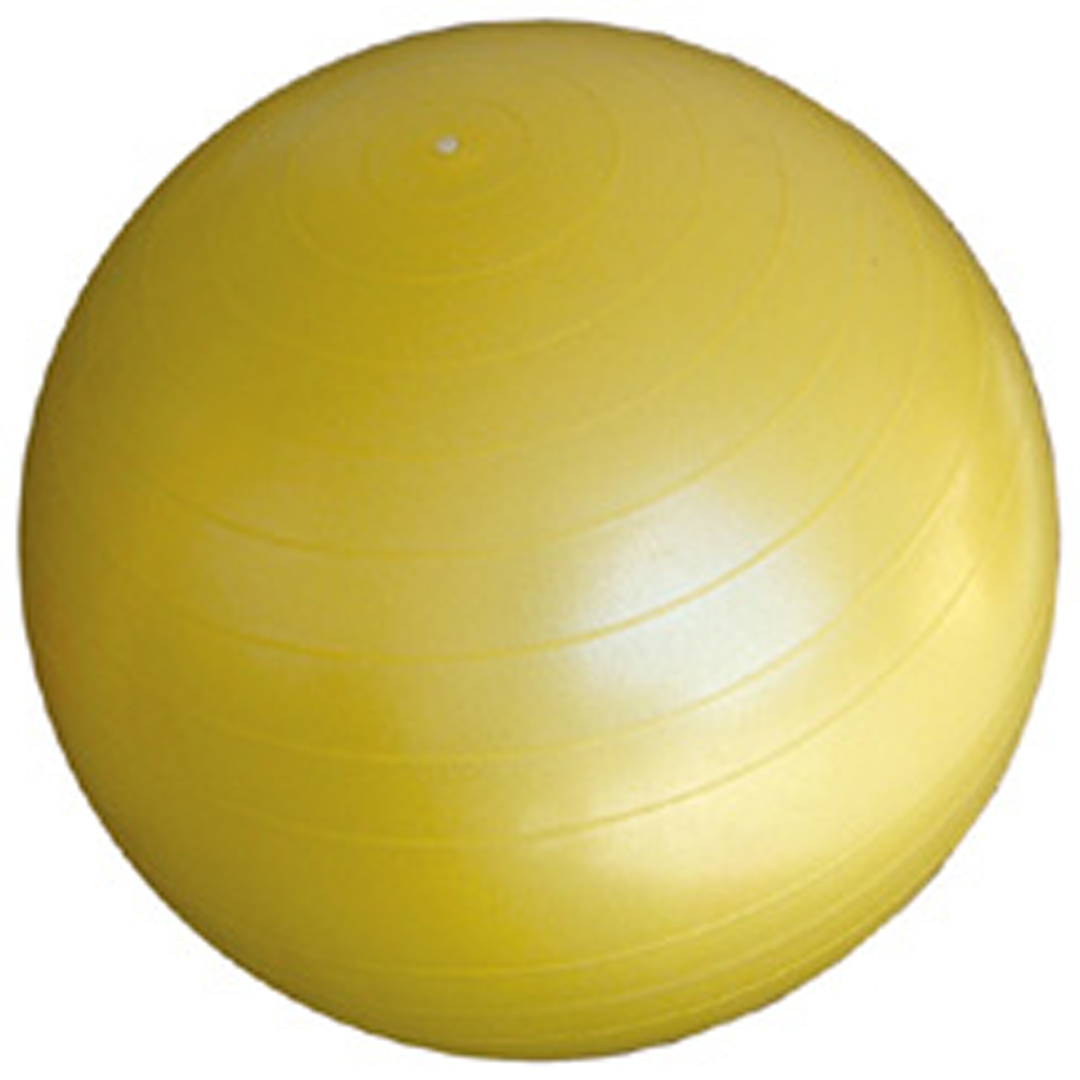 Swiss Ball 55cm