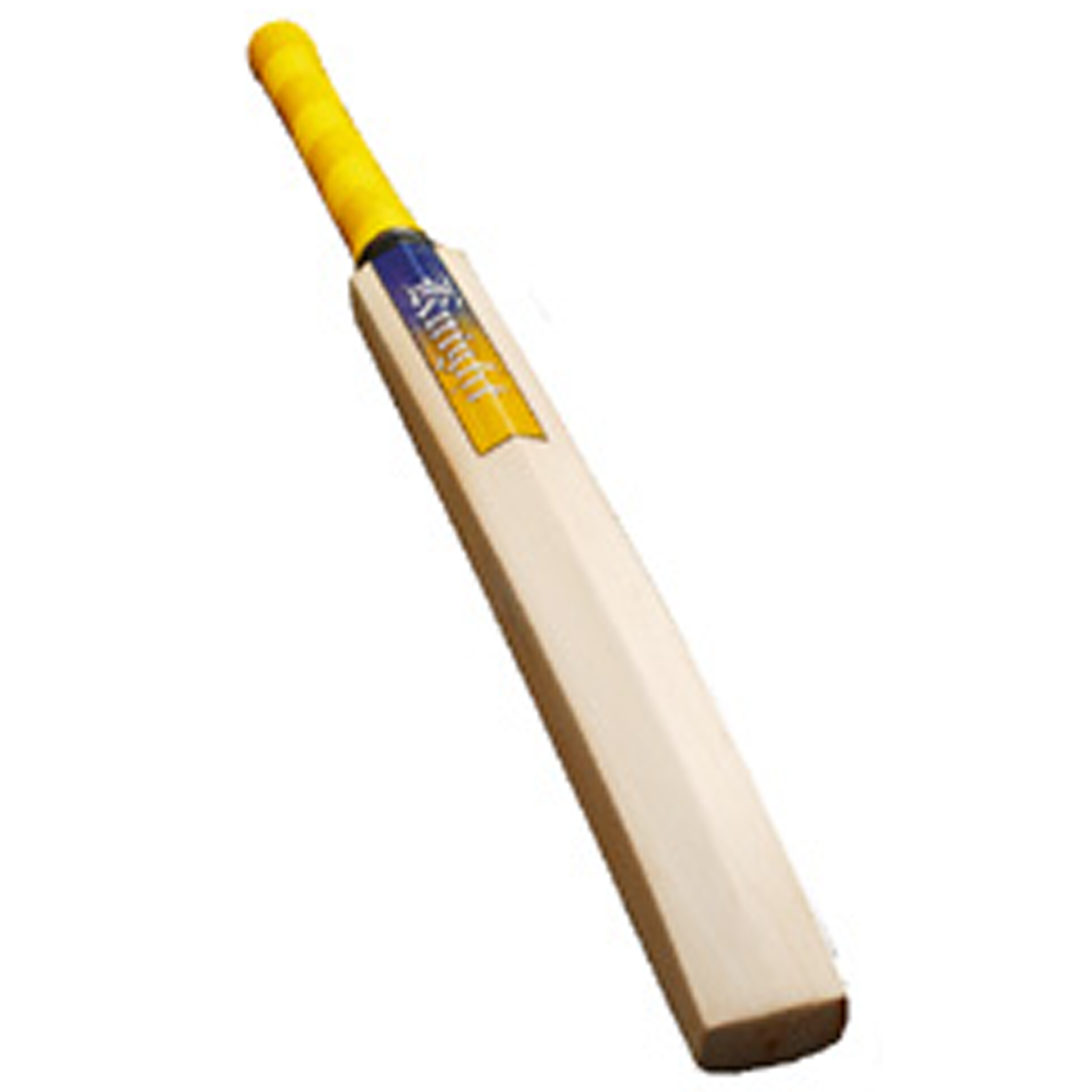Cricket Technique Bat Size 5