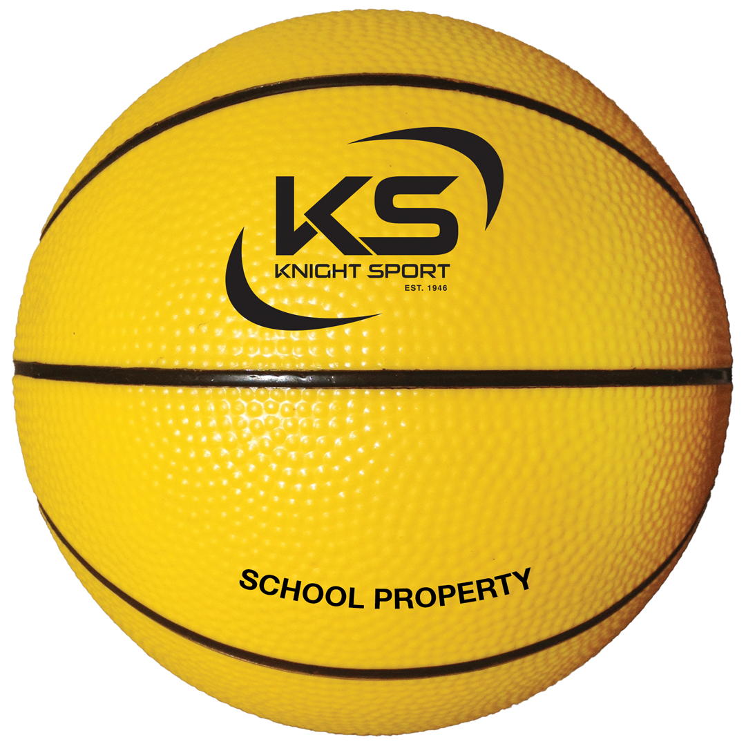 Vinyl School Basketball