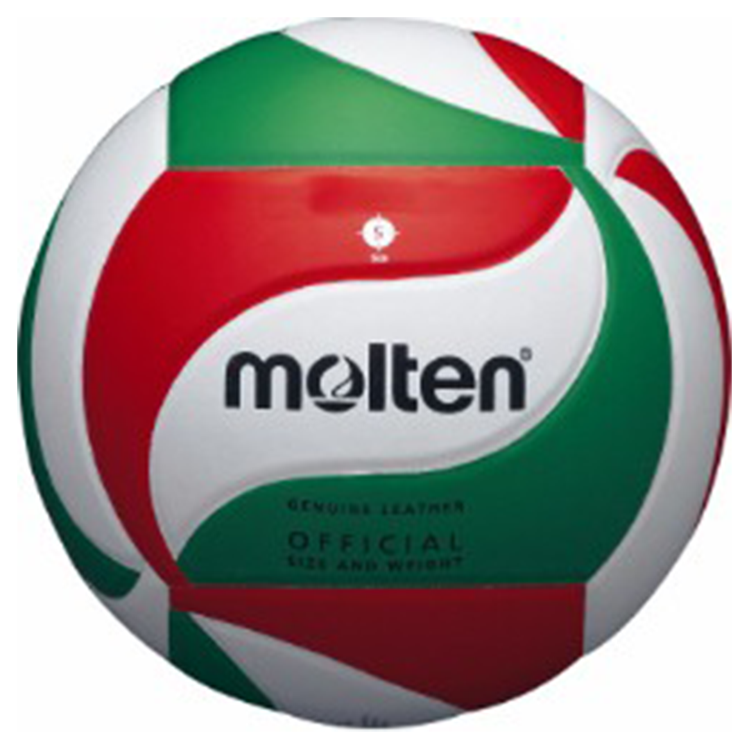 Volleyball Molten 5000 Leather